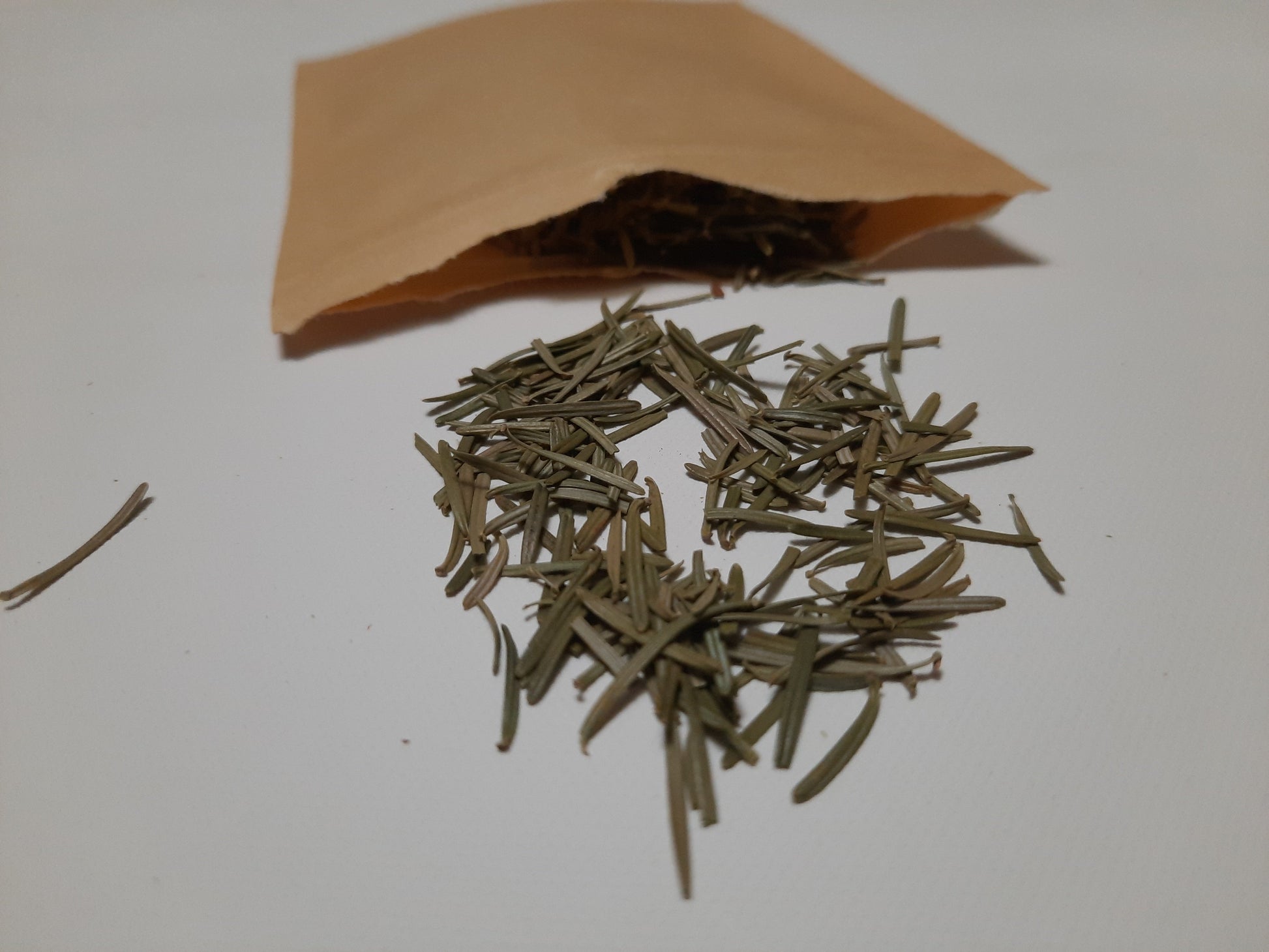 Fir Needle - herbal Tea